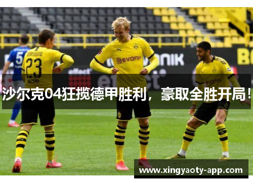 沙尔克04狂揽德甲胜利，豪取全胜开局！