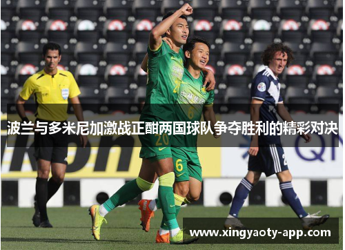 波兰与多米尼加激战正酣两国球队争夺胜利的精彩对决