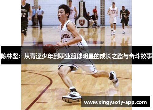 陈林坚：从青涩少年到职业篮球明星的成长之路与奋斗故事